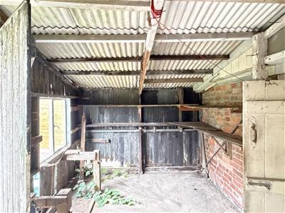 Picture 15